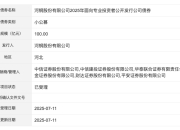 河钢股份100亿元小公募债项目获深交所受理